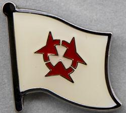 Oita Flag Pin Japan