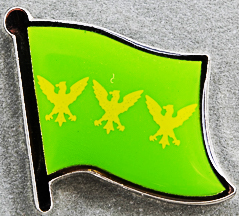 Caernarfon Shire Flag Pin - Wales
