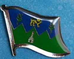 Wicklow Lapel Pin